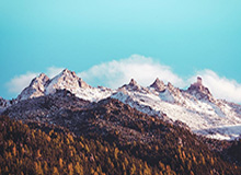 足球比分直播-欧冠抽签：拜仁巴萨国米同组 巴黎遇尤文