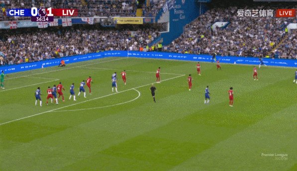 1691943206855089956.gif 37(1).gif